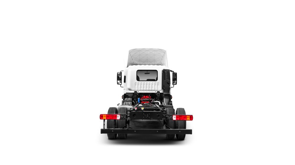 AUMAN D 4×2 Cargo Truck — 2